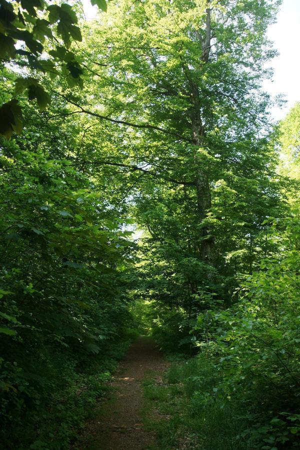 Karuna Haus Bad Windsheim Kültér fotó